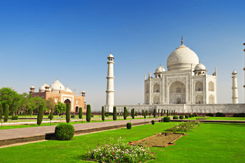 Von Delhi aus: Taj Mahal und Agra Fort Private Sunrise Tour