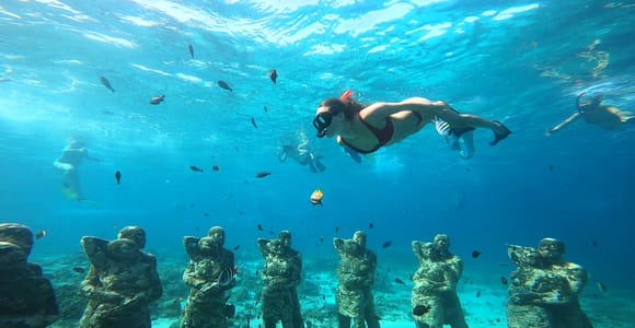 Ozzy Snorkeling 3 Islands Visit Baby Turtles