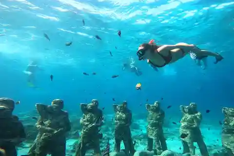 Ozzy Snorkeling 3 Islands Visit Baby Turtles
