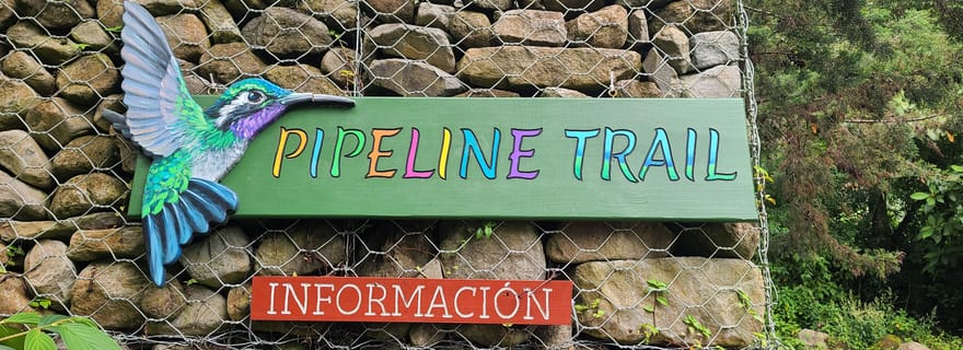 Boquete : randonnée dans la forêt nuageuse - Pipeline Trail