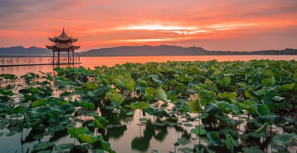 Shanghai: Private geführte Tour nach Hangzhou mit dem Hochgeschwindigkeitszug