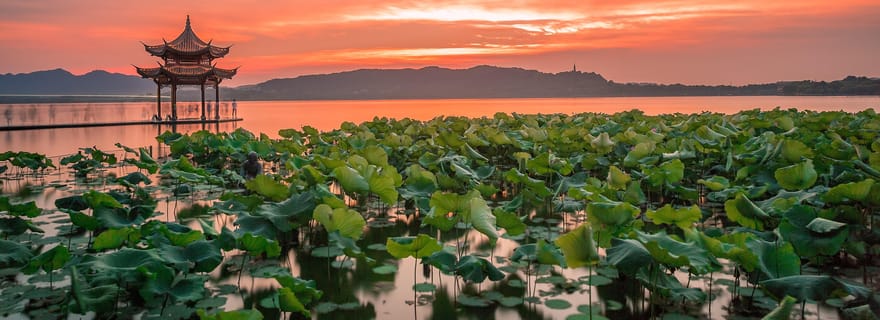 Shanghai : Visite guidée privée à Hangzhou en train à grande vitesse