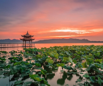 Shanghai: Private Guided Tour to Hangzhou by Bullet Train