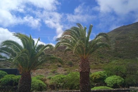 Tenerife : Teide + Icod de los Vinos + Garachico + MascaTenerife : Visite guidée en anglais
