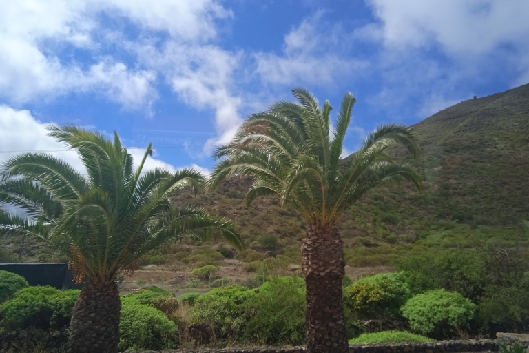 Tenerife: Teide + Icod de los Vinos + Garachico + MascaTenerife: Rondleiding in het Spaans