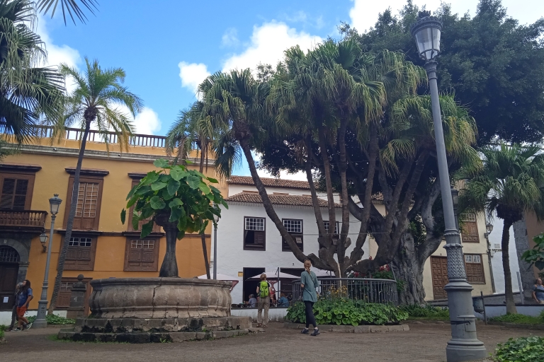 Tenerife : Teide + Icod de los Vinos + Garachico + MascaTenerife : Visite guidée en italien