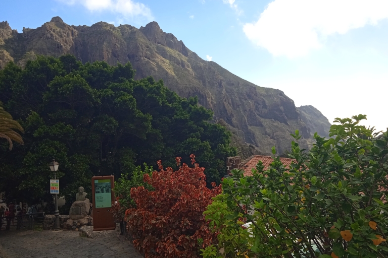 Tenerife: Teide + Icod de los Vinos + Garachico + Masca Tenerife: Guided Tour in Spanish