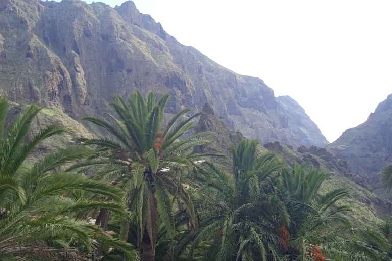 Tenerife: Teide + Icod de los Vinos + Garachico + Masca Tenerife: Guided Tour in Italian