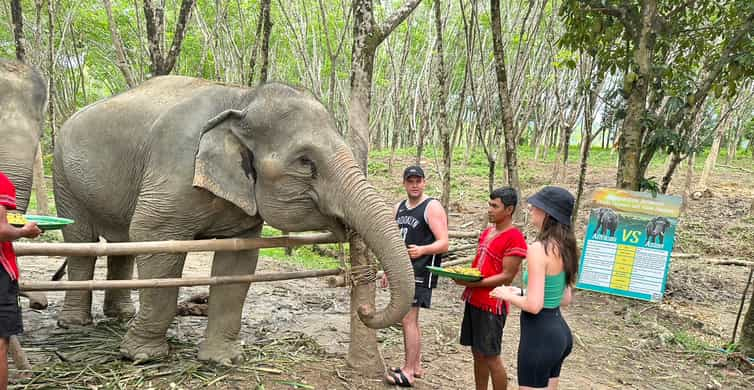 Khaolak Elephant Sanctuary, Khao Lak - Book Tickets & Tours | GetYourGuide