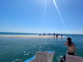 Passeio de barco na Ria Formosa 3H