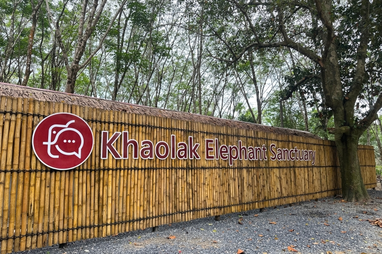 Experiencia de 1 hora en el Santuario de Elefantes de Khao Lak con EcoguíaTour guiado de 1 hora con punto de encuentro