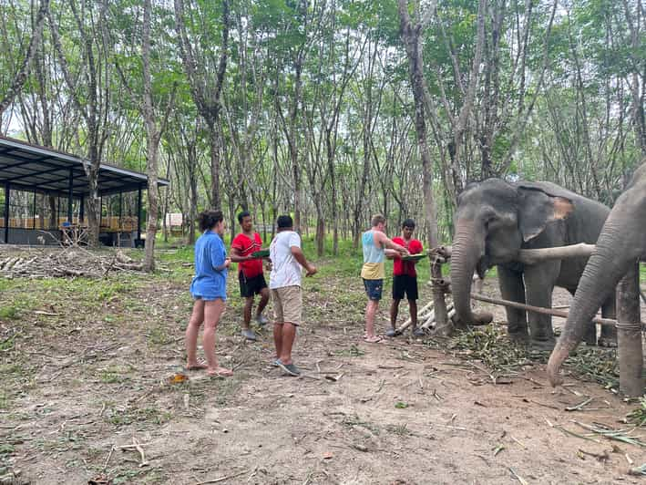 Khaolak: 60 minutes-Elephant Sanctuary Observation Tour | GetYourGuide