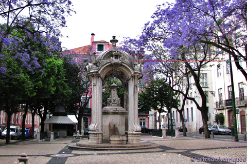 Explore LisbonExplore Lisbon in 5 Hours