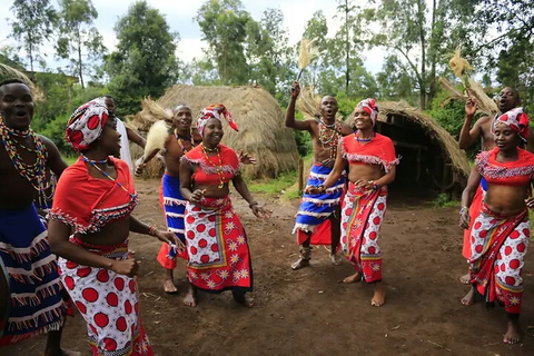 Spectacles culturels en direct. Visite de l'après-midi des Bomas du Kenya.