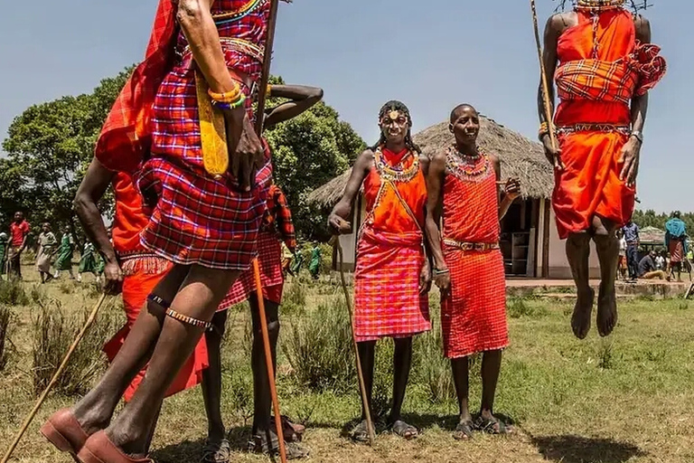 Spectacles culturels en direct. Visite de l'après-midi des Bomas du Kenya.