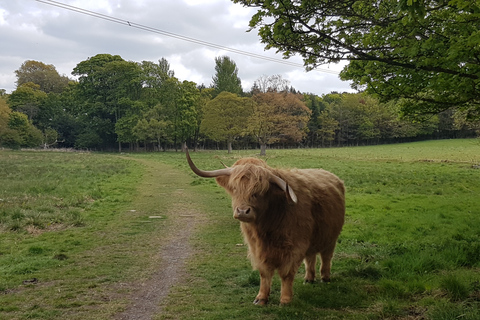 Excursão de um dia à ponte Harry Potter saindo de Edimburgo