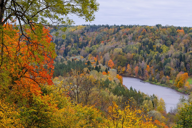 Excursion d'une journée Riga - Sigulda, la "Suisse de la Lettonie".