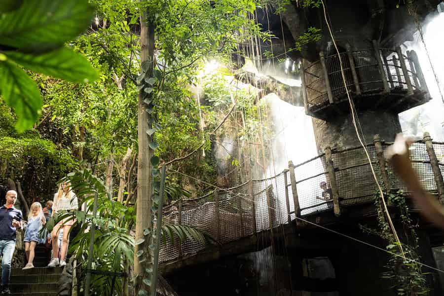 Göteborg: Universeum Eintrittskarte. Foto: GetYourGuide Göteborg: Universeum Eintrittskarte. Foto: GetYourGuide