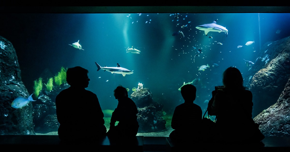 Gothenburg: Universeum Entry Ticket | GetYourGuide