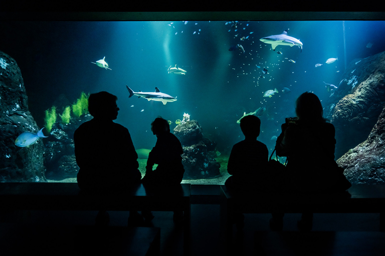 Göteborg: Bilet wstępu do Universeum