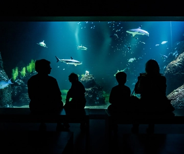 Inträdesbiljett Universeum