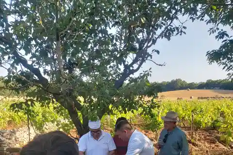 Mozzarella making class with Apulian music and dance