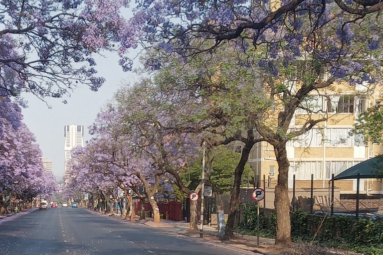 Pretoria en Cullinan-mijnPretoria en calinan mijn