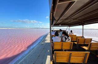 Safari-Tour um die rosa Seen von Las Coloradas