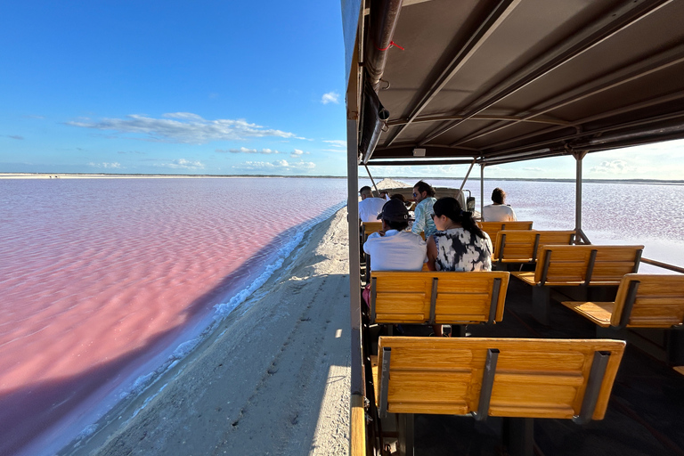 Safari tour around the pink lakes of Las Coloradas