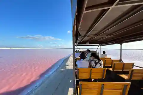 Las Coloradas : Safari dans les lacs roses