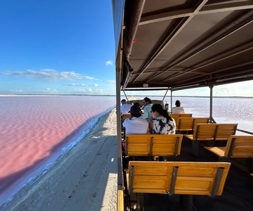 Las Coloradas: Excursión Safari Lagos Rosas