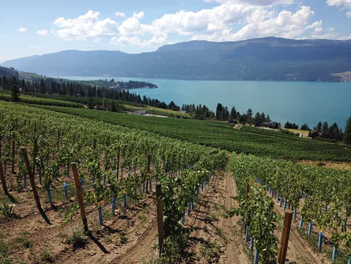 Kelowna: Lake Country Wine Tasting Tour with Pickup