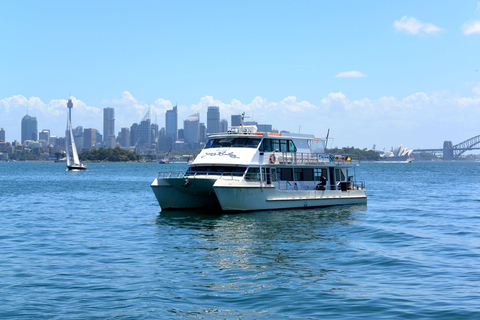 Sydney: Morgens Sightseeing Bus nach Bondi mit Lunch Cruise