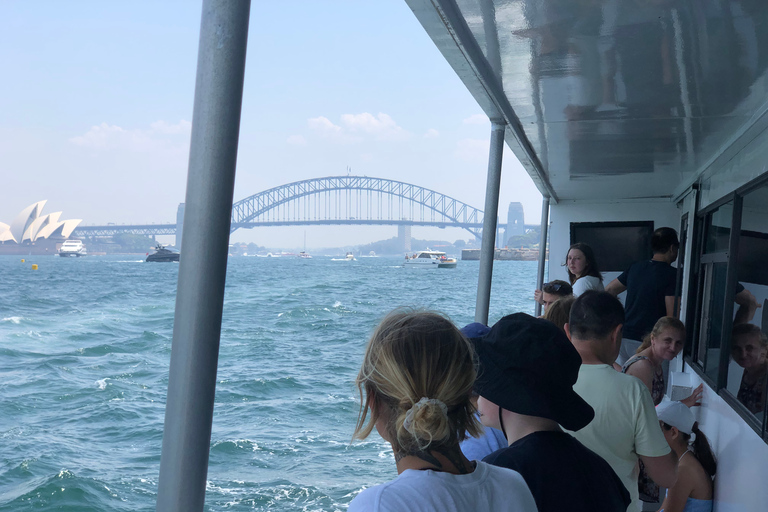 Sydney: Morgens Sightseeing Bus nach Bondi mit Lunch Cruise