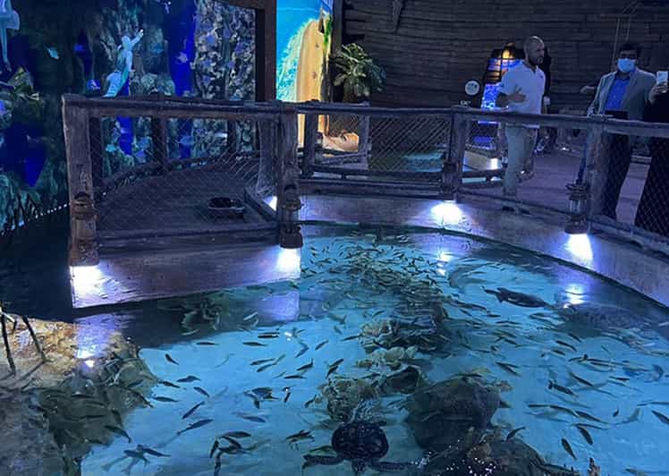 Value Offer Louvre Abu Dhabi + National Aquarium + eSIM GetYourGuide