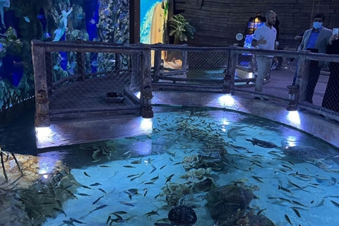 Luwr Abu Zabi i ekskluzywne połączenie National AquariumLuwr w Abu Zabi i ekskluzywne połączenie National Aquarium