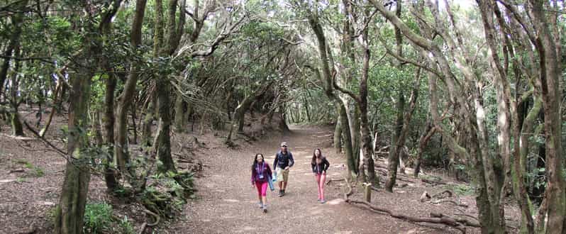 Tenerife: Senderismo Mindful Guiado en la Reserva de la Biosfera de Anaga