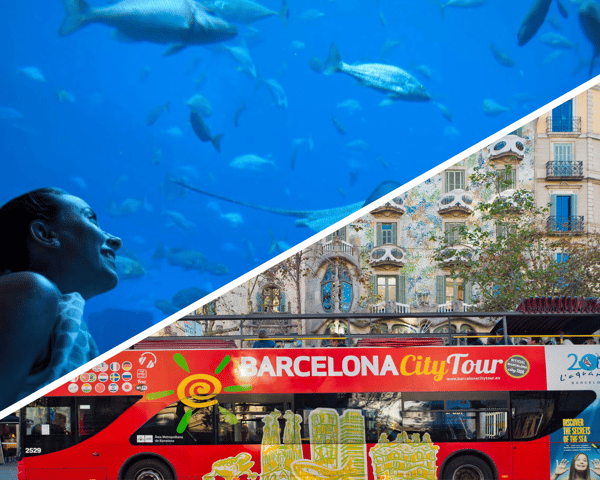 Barcelona: Hop-On Hop-Off Bus & Aquarium Tour