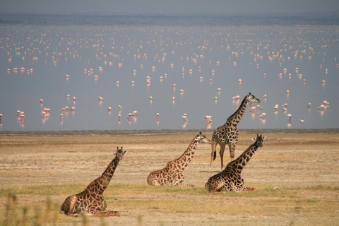 Arusha: Serengeti and Ngorongoro Tented Lodge 3-day Safari 3-Day Private Serengeti & Ngorongoro(Tented)Lodge Safari