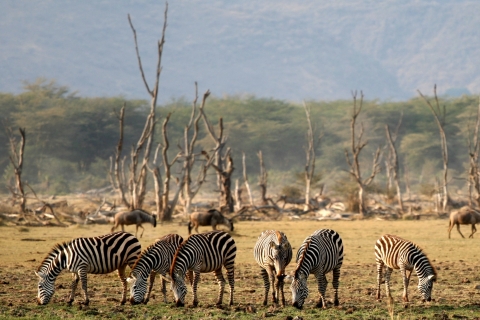 Arusha : Safari de 3 jours au Serengeti et au Ngorongoro Tented LodgeSafari privé de 3 jours au Serengeti et au Ngorongoro (Lodge)