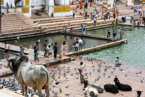 Uma viagem de um dia para Pushkar saindo de Jaipur