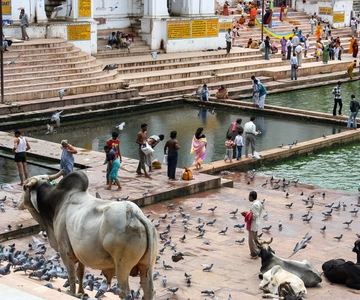 A Day Trip of Pushkar From Jaipur