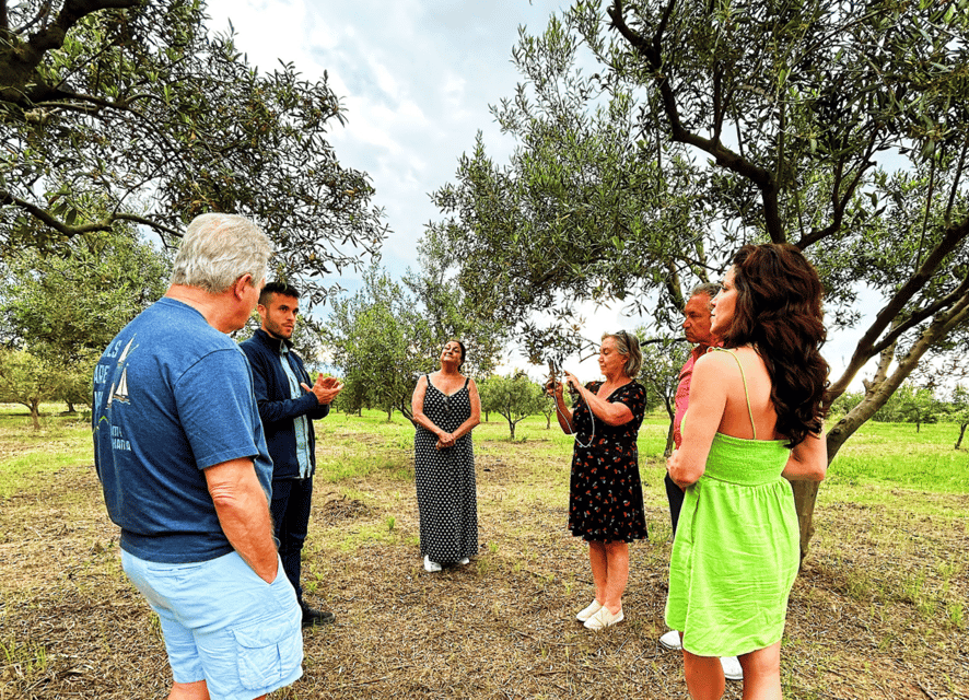 Balestrate, Olive Grove Tour met wijn en olijfolie Proeverij - Hizvo