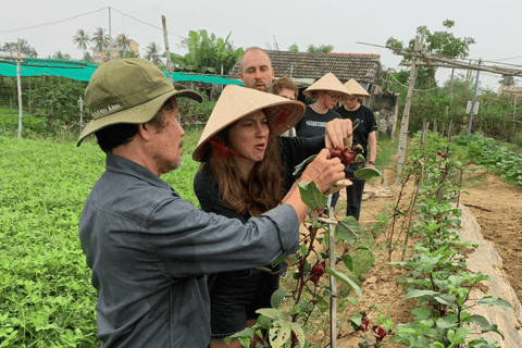 Hoi An Wiejska jazda na rowerze i gotowanie w gospodarstwie ekologicznym