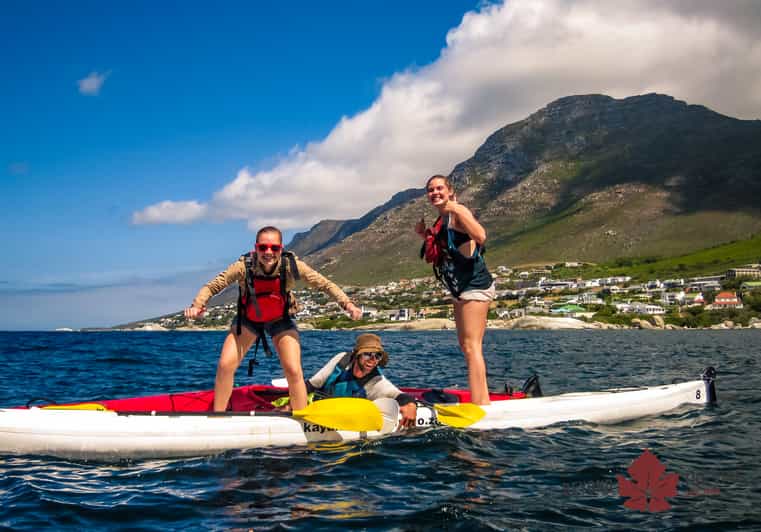 Cape Town Kayaking with Penguins Experience - Boulders Beach