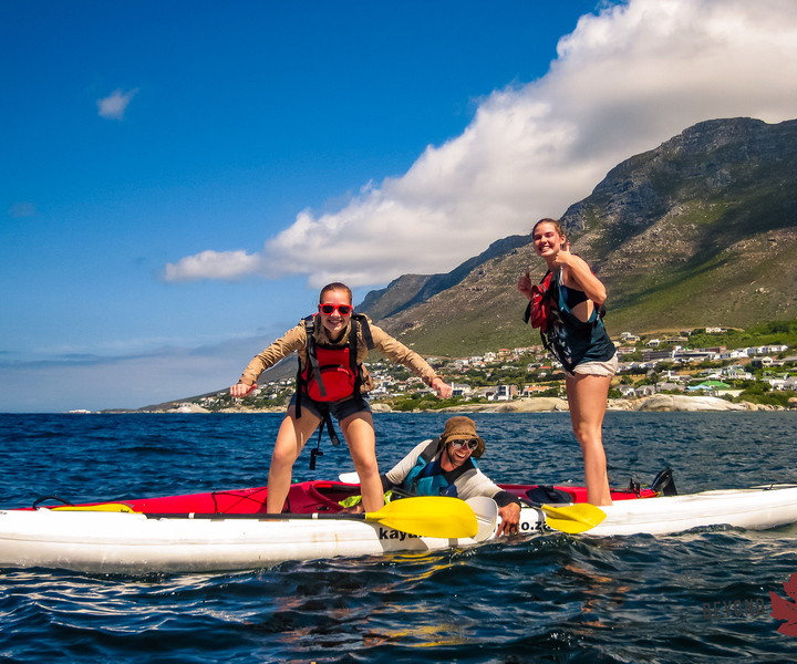 Experiencia en kayak con pingüinos en Ciudad del Cabo - Playa de Boulders