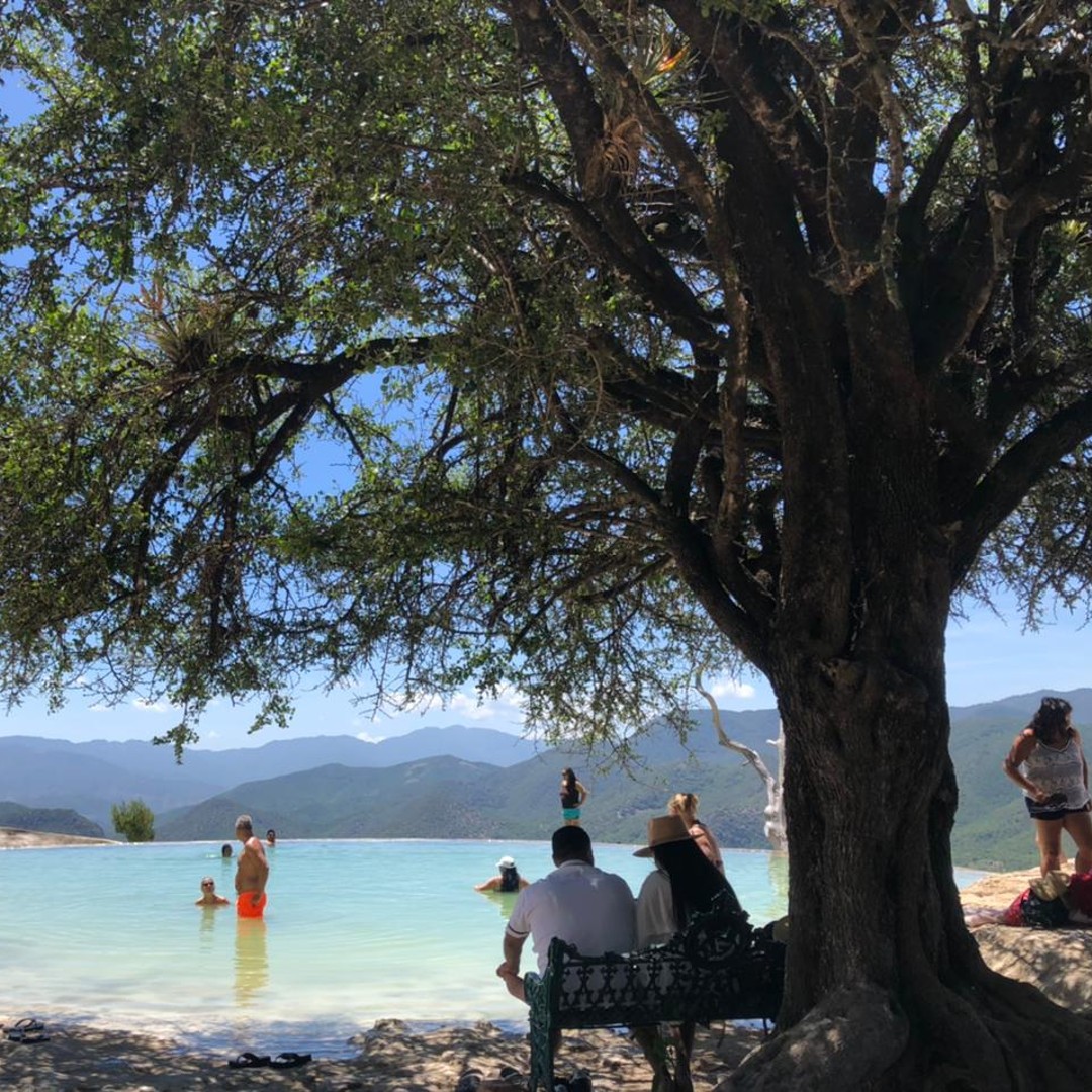 Galería de fotos para redes