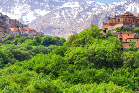 Visita la valle di Ourika incluso pranzo e cammello