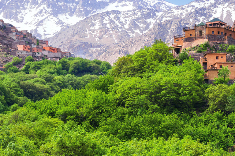 Visita la valle di Ourika incluso pranzo e cammello