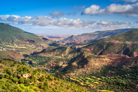 Visita la valle di Ourika incluso pranzo e cammello